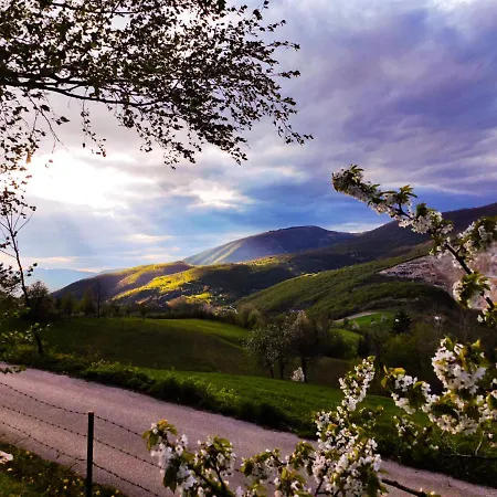 Semesterbostad The Zlatar Nova Varoš