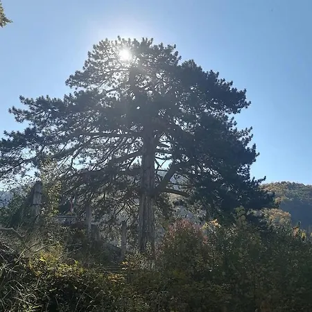 The Zlatar *