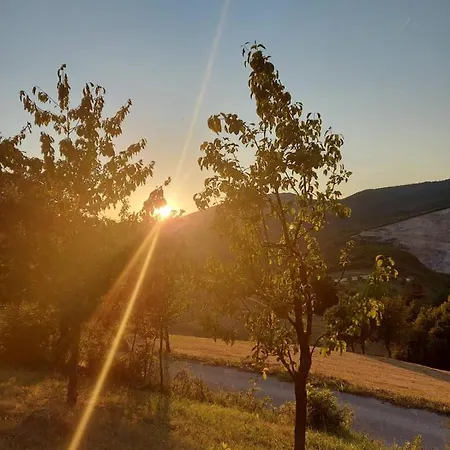 Semesterbostad The Zlatar *