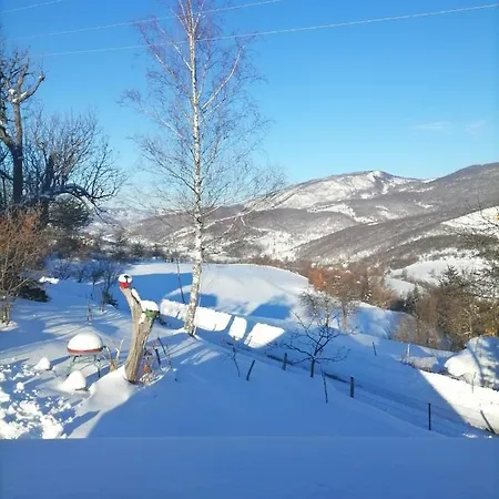 Semesterbostad The Zlatar