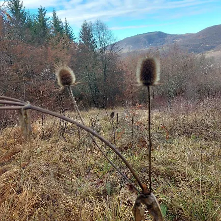 Semesterbostad The Zlatar *