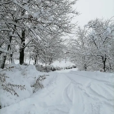 The Zlatar Semesterbostad Nova Varoš