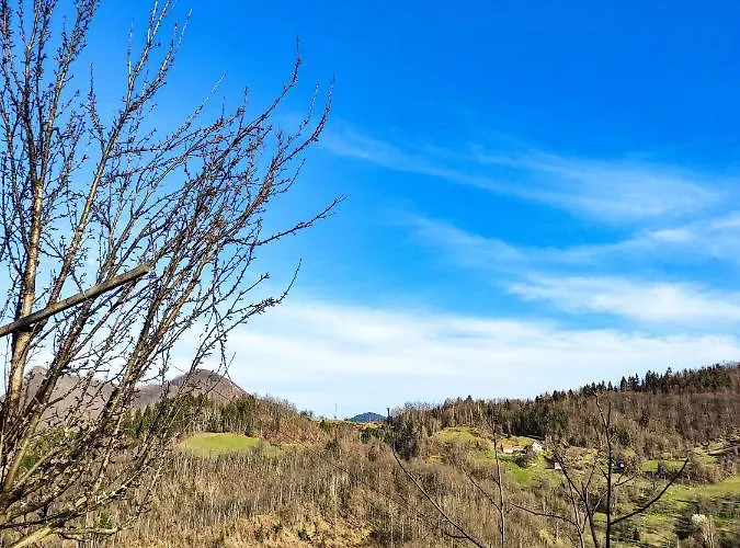 The Zlatar 度假居 *