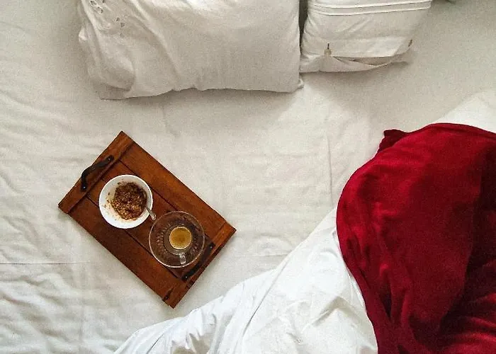 The Zlatar 度假居 Nova Varoš