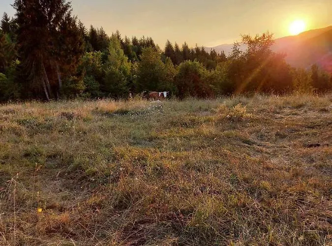 The Zlatar * Nova Varoš