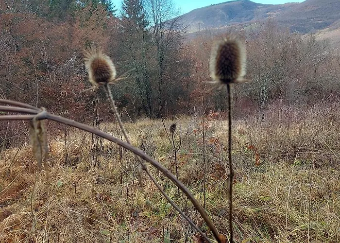 度假居 The Zlatar *