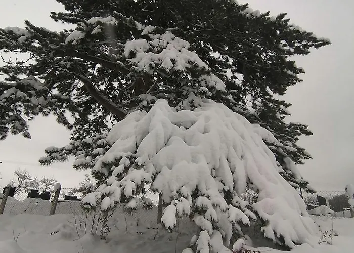 The Zlatar Nova Varoš